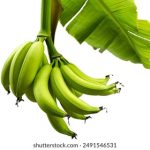 优发国际官方登录:畅享安全稳定的在线娱乐体验 9dxold