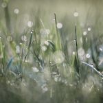 亚洲必赢26net的游戏种类与用户体验全解析 bbm27rh