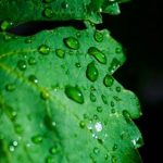 享受百盛娱乐平台带来的无限乐趣与精彩活动 g5zrwy063c