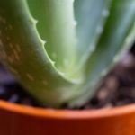 优发国际平台:探索全新在线娱乐体验的最佳选择 hqg5o3h905