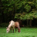 游艇会官网2206:畅享海上生活的理想平台与服务 s60w7nlpk