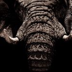 优发国际首页:探索全新在线娱乐平台的魅力与优势 seyfn5mxw