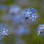 游艇会官网yth206:开启您的私人游艇之旅与精彩活动 sz2xpcv878